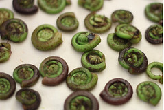 Screen shot 2011-04-04 at 9.28.28 AM