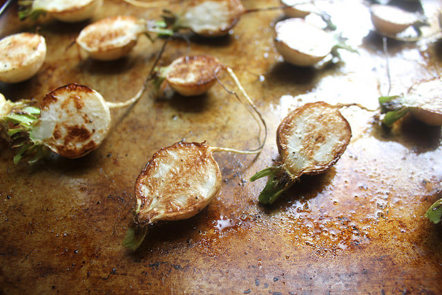 21772012055_68d1ce5e4b_z