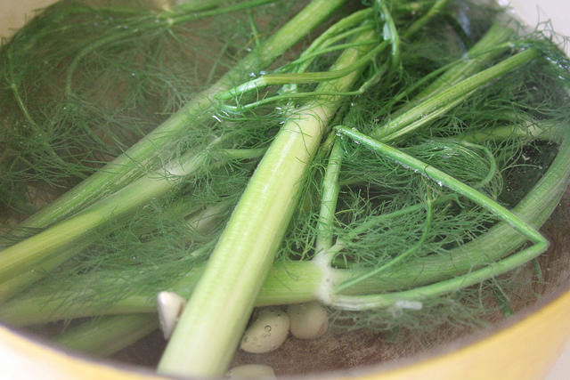 30221673224_06483dbb94_z