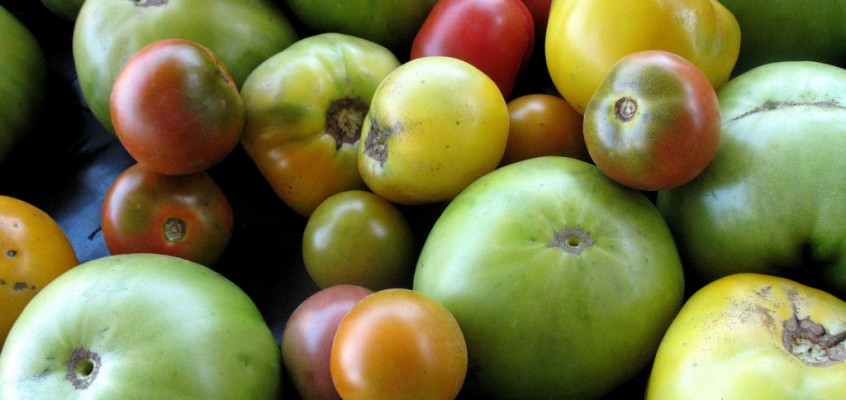 Announcing the Grand Army Plaza Greenmarket Shopping Club & Tour Series