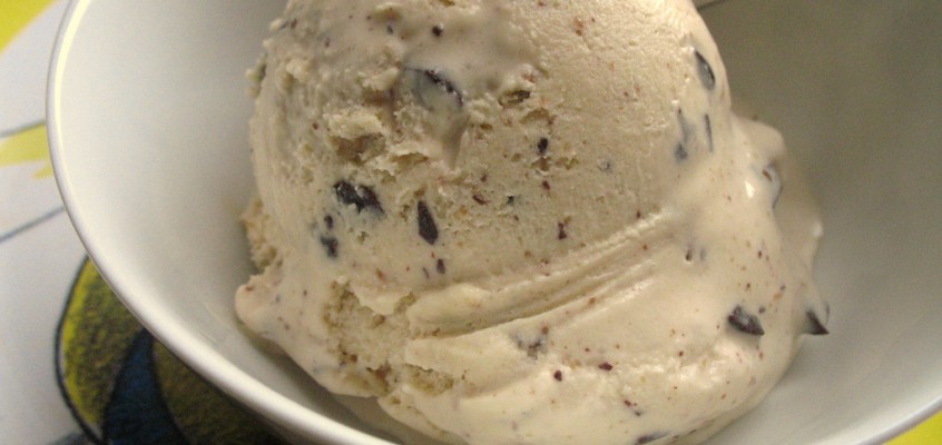 Peanut Butter Chocolate Chip Ice Cream