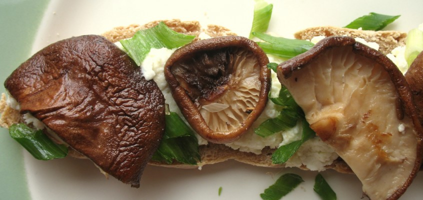 Shiitake Mushroom and Wasabi-Spiced Ricotta Crostini