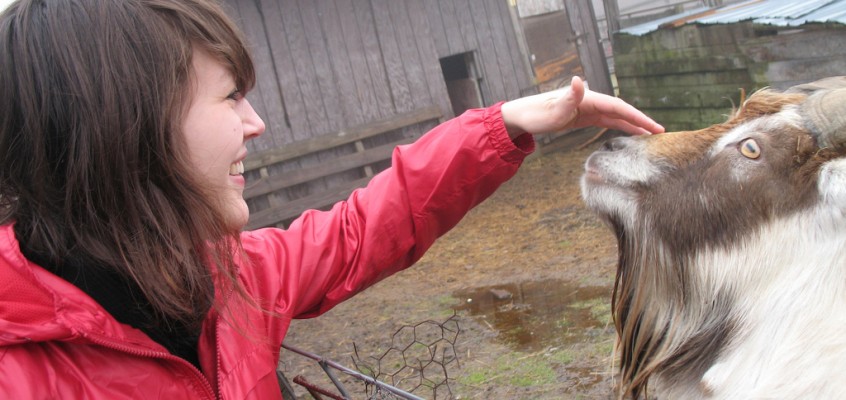A Trip to Apple Pond Farm