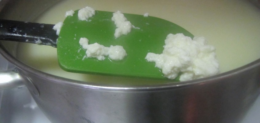 The Brooklyn Cheese Experiment: A Recap, and Ricotta