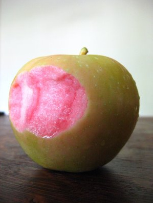 Let Us Eat Local, at Home!