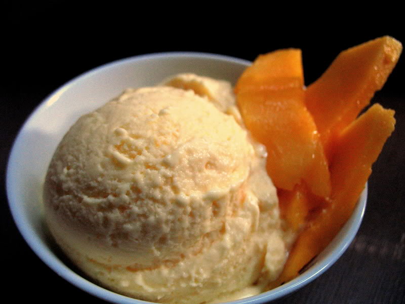 Mango Frozen Yogurt (and a discussion on theory vs. practice)