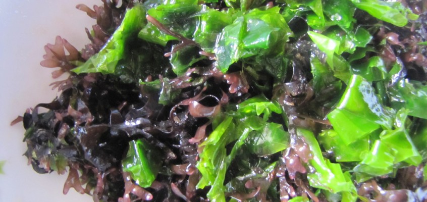 Kombu Seaweed Salad