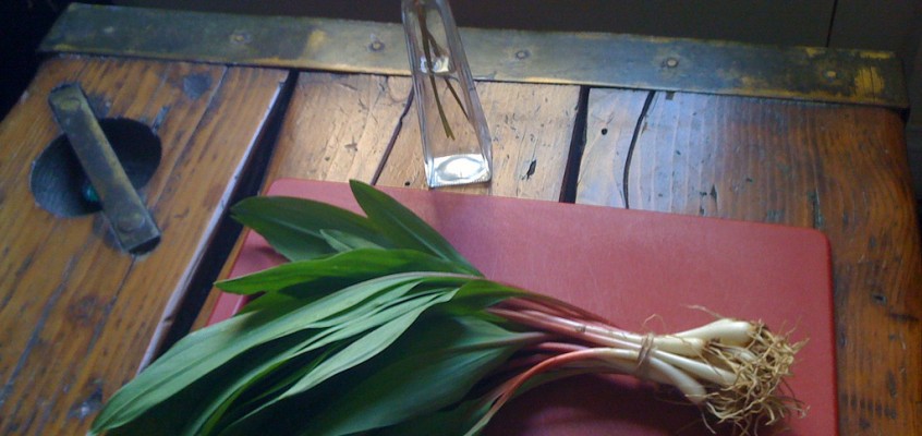 Food Blogger Contest! Post a Spring Recipe to Win Classes at Ger-Nis