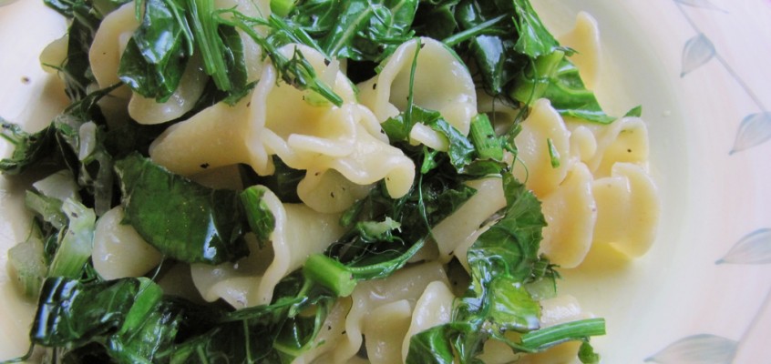 Pasta with Fennel and Baby Collard Greens