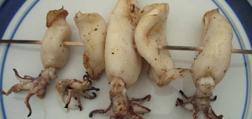 Grilled Squid Skewers