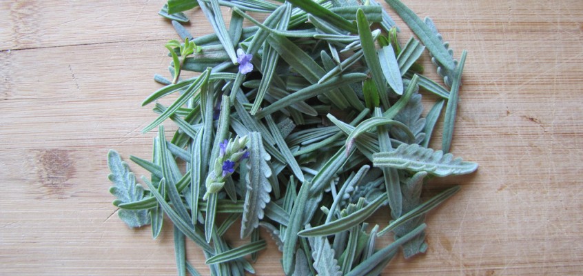 We Are So Divorced From Nature Example 1: Moonlit Lavender